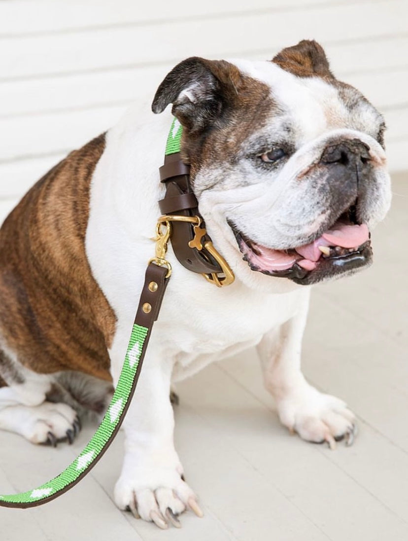 Collier de chien