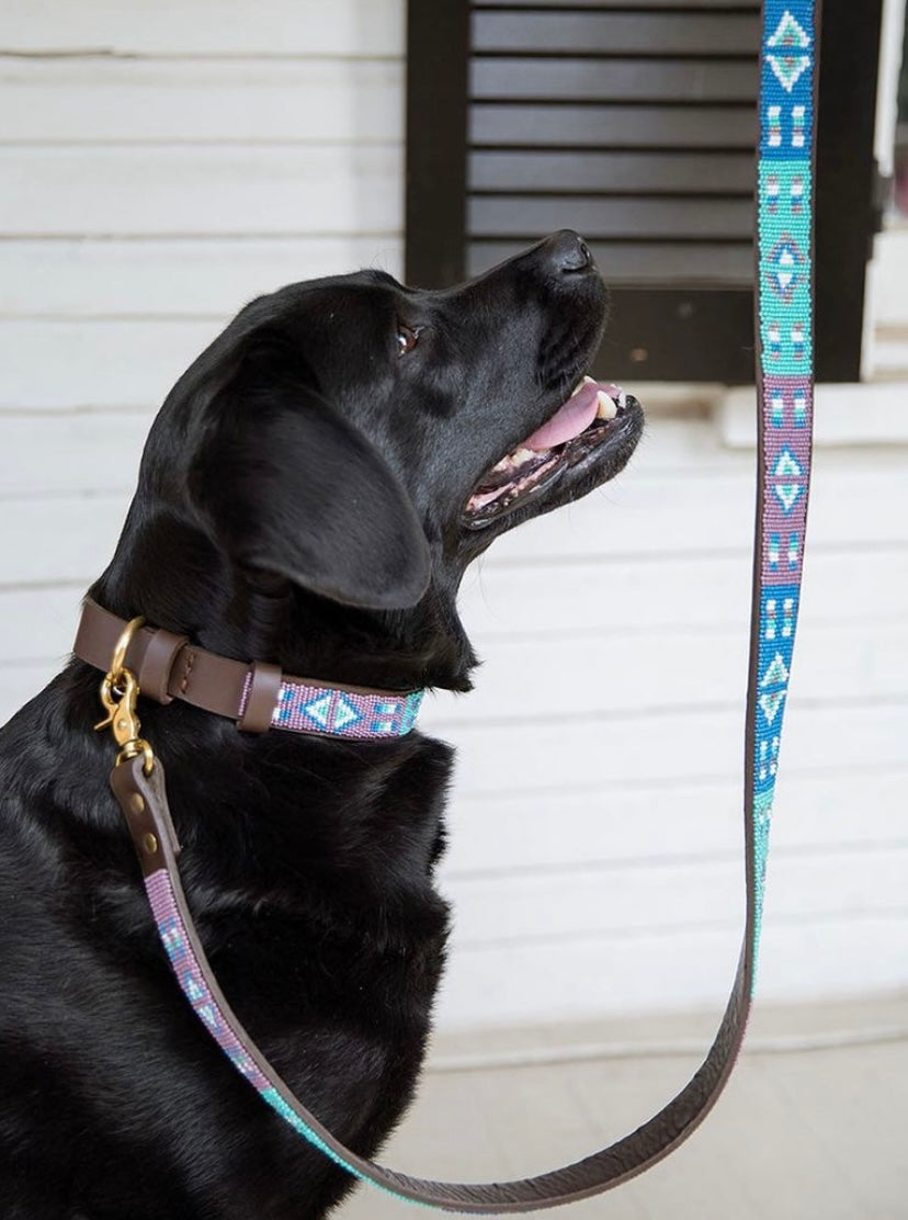 Collier de chien