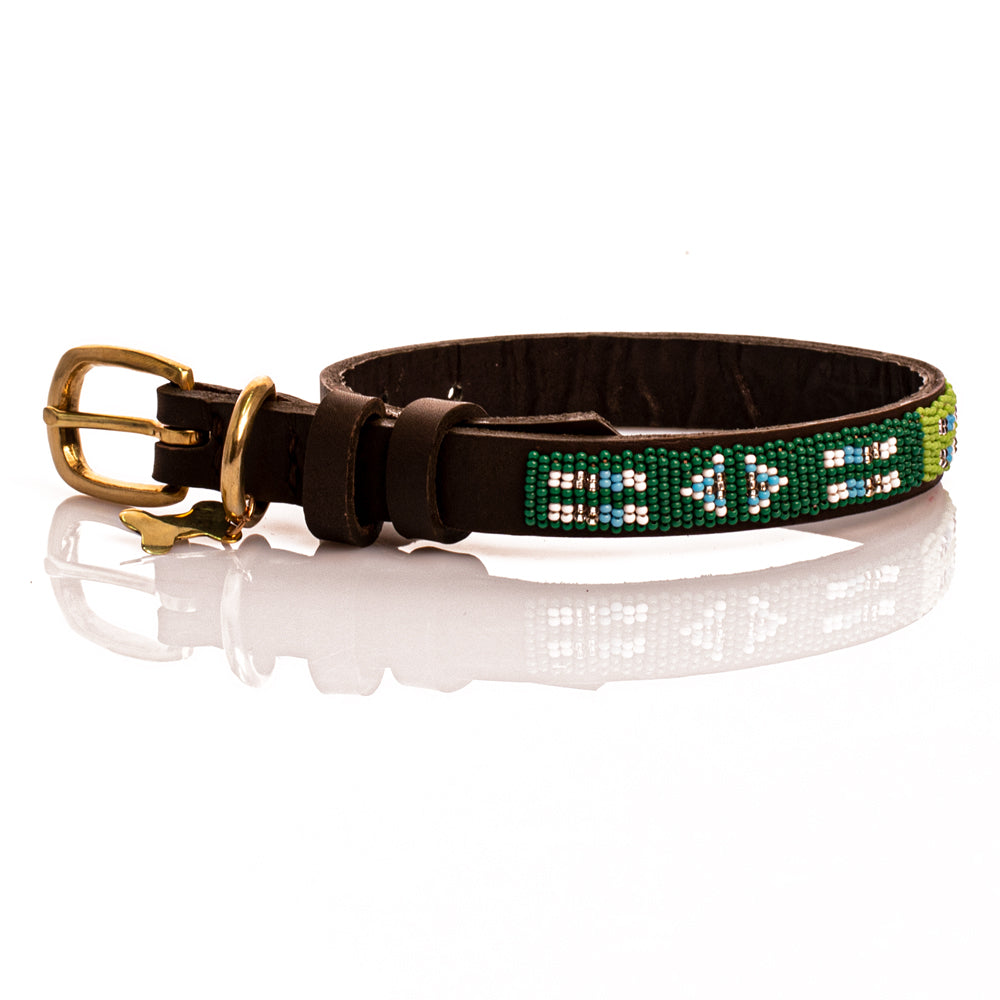 Collier de chien