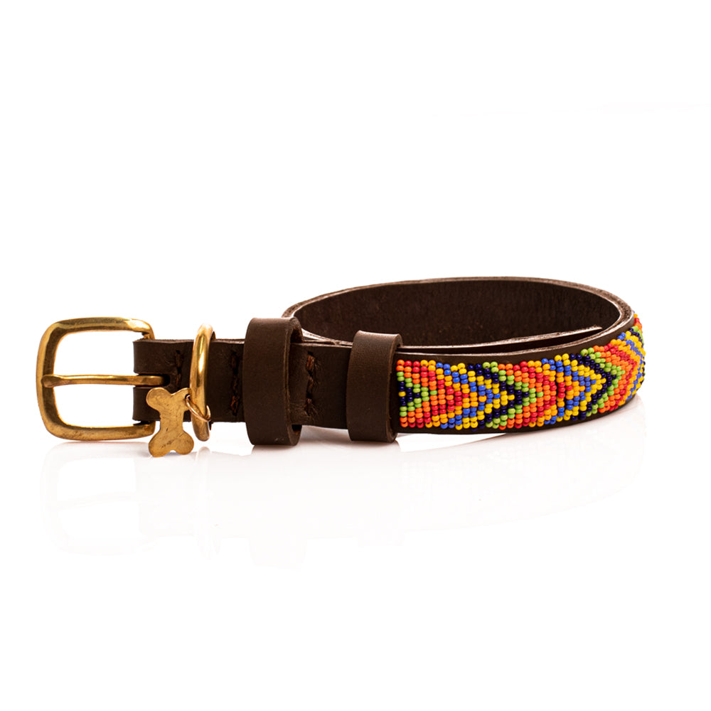 Collier de chien