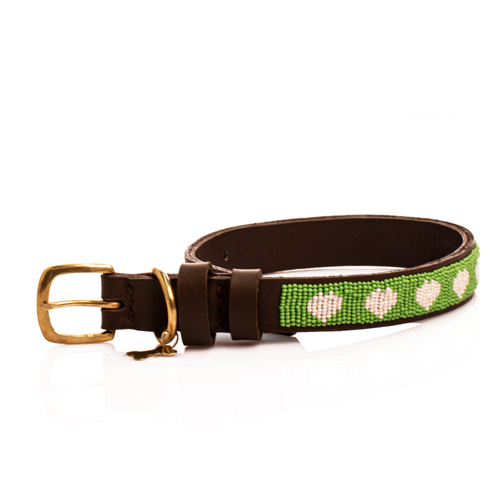 Collier de chien
