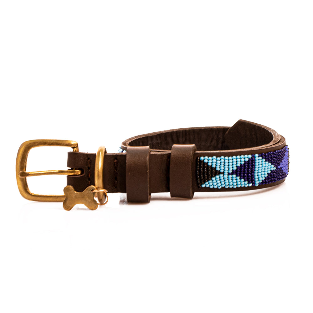 Collier de chien
