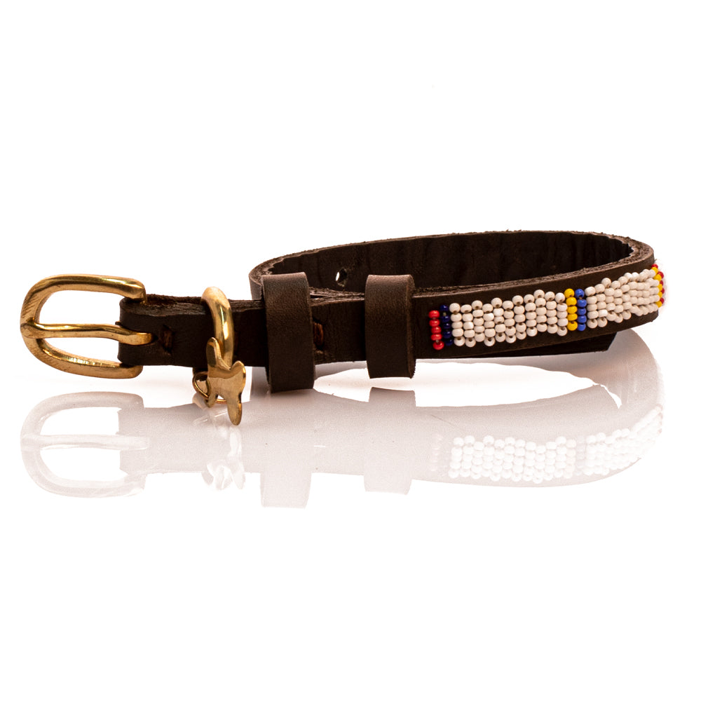 Collier de chien